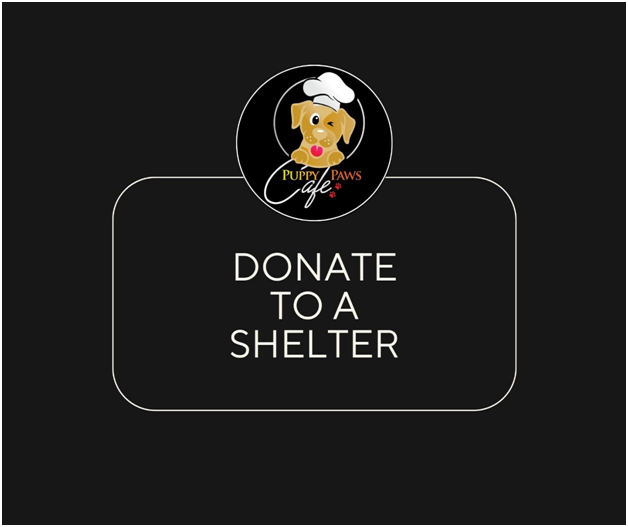 Donate to a Shelter