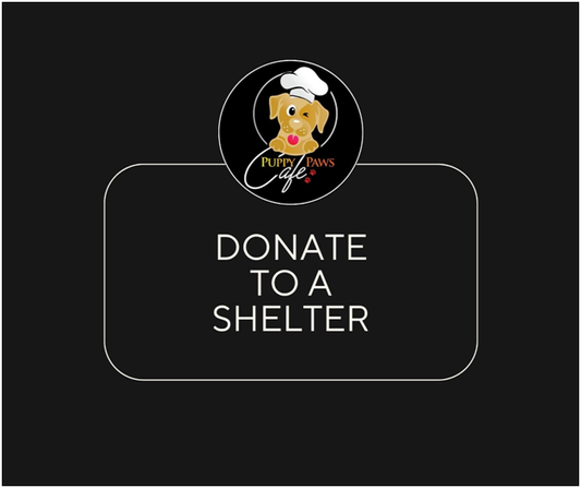 Donate to a Shelter